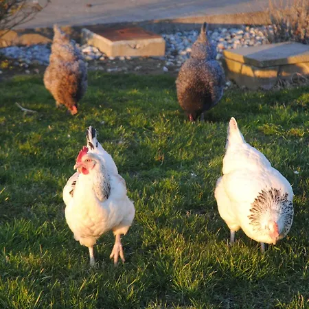 Et Restaurant Le Clos De La Prairie