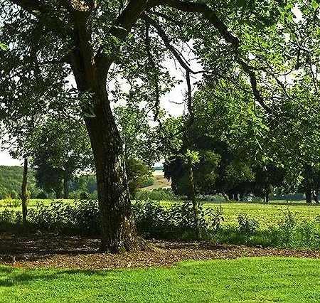 Hotel Et Restaurant Le Clos De La Prairie
