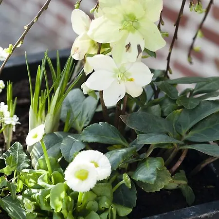 Et Restaurant Le Clos De La Prairie מלון Gouy-Saint-André