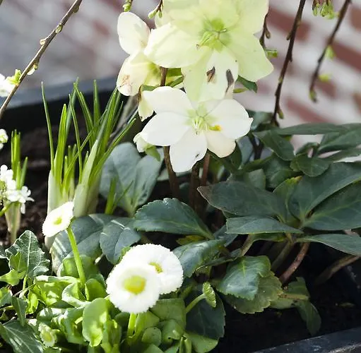 Et Restaurant Le Clos De La Prairie Hotel Gouy-Saint-André